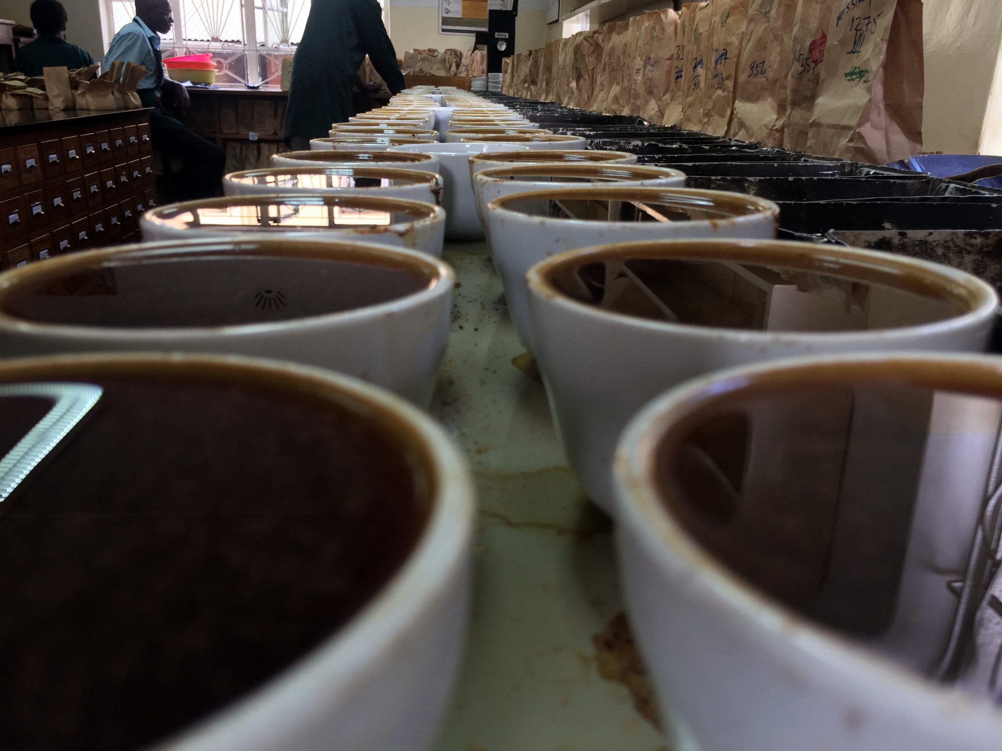 Kenya and “the decline of the world’s greatest coffee” Christopher Feran